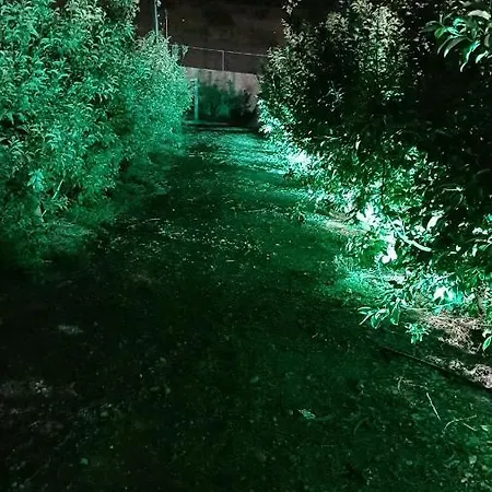 צימר נאשד Mas'ada Exterior photo